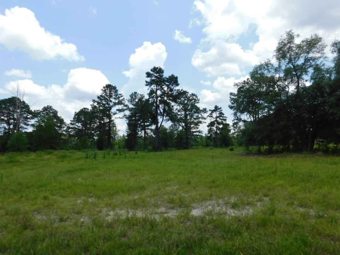Lowcountry Paradise, waiting for your creativity - photo 10