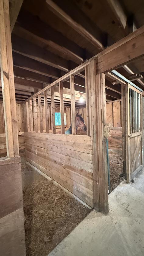 Estate home with small stable and pool - photo 1