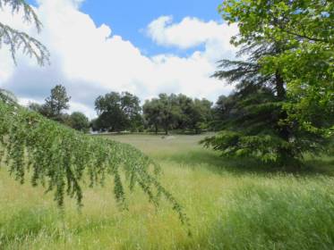 Property image.