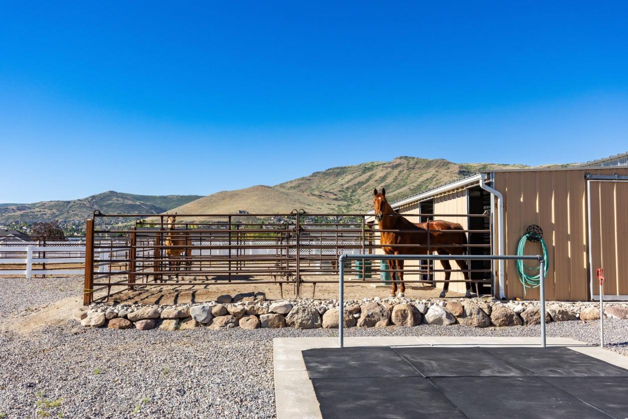 Horse Ready with Trail Access & Neighborhood Arena - photo 9