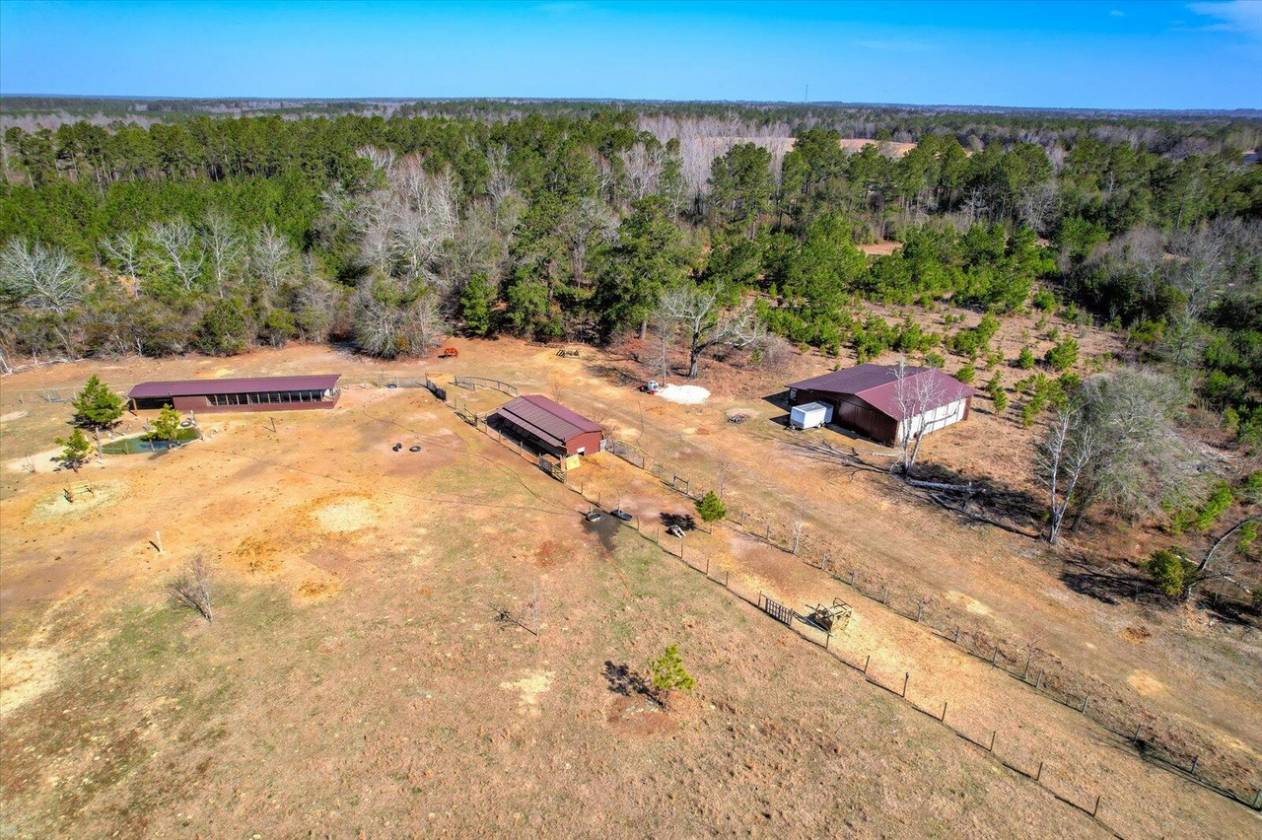 Beautiful 61-Acre Horse Property - photo 10
