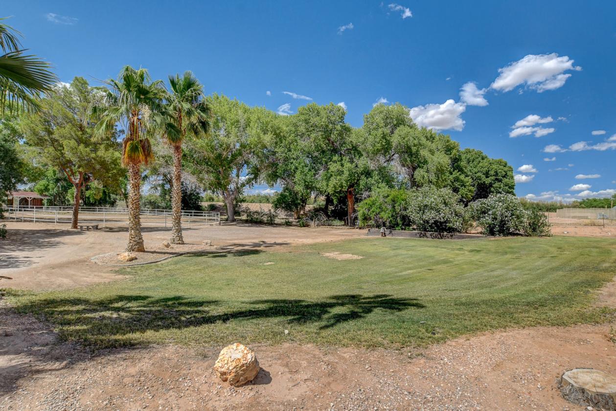 Custom Home, 2 Arenas, Barn, Orchard, WATER RIGHTS - photo 19