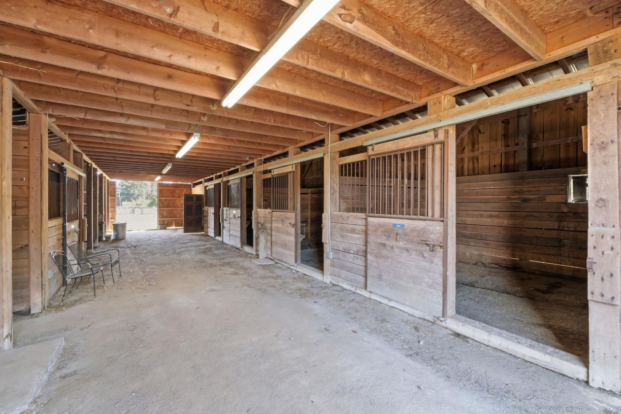 Hobby farm - photo 4