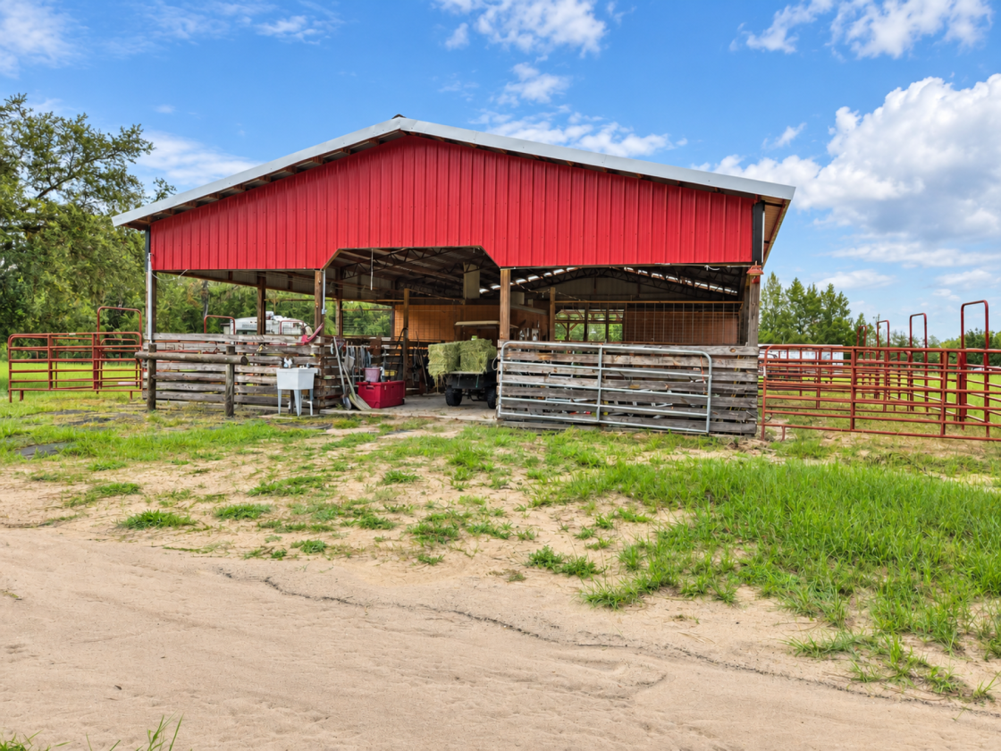 Bring Your Horses, Your Plans and Your Country - photo 2