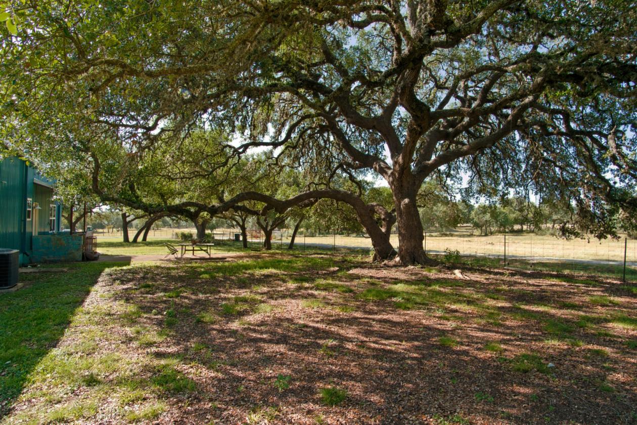15 Acres Uballe Ranch - photo 6