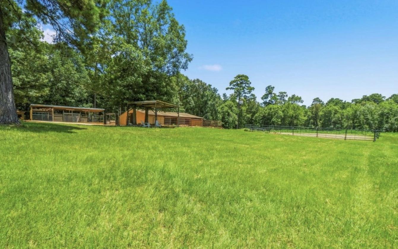 Beautiful East Texas horse property - photo 22