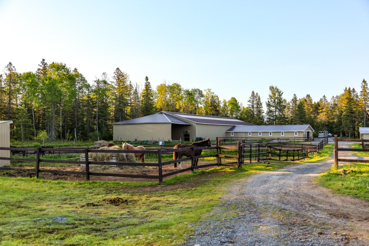 40 Acre Equestrian Property with Indoor Arena - photo 4