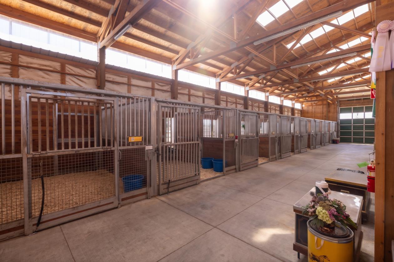 Commercial Horse Training Facility - photo 20