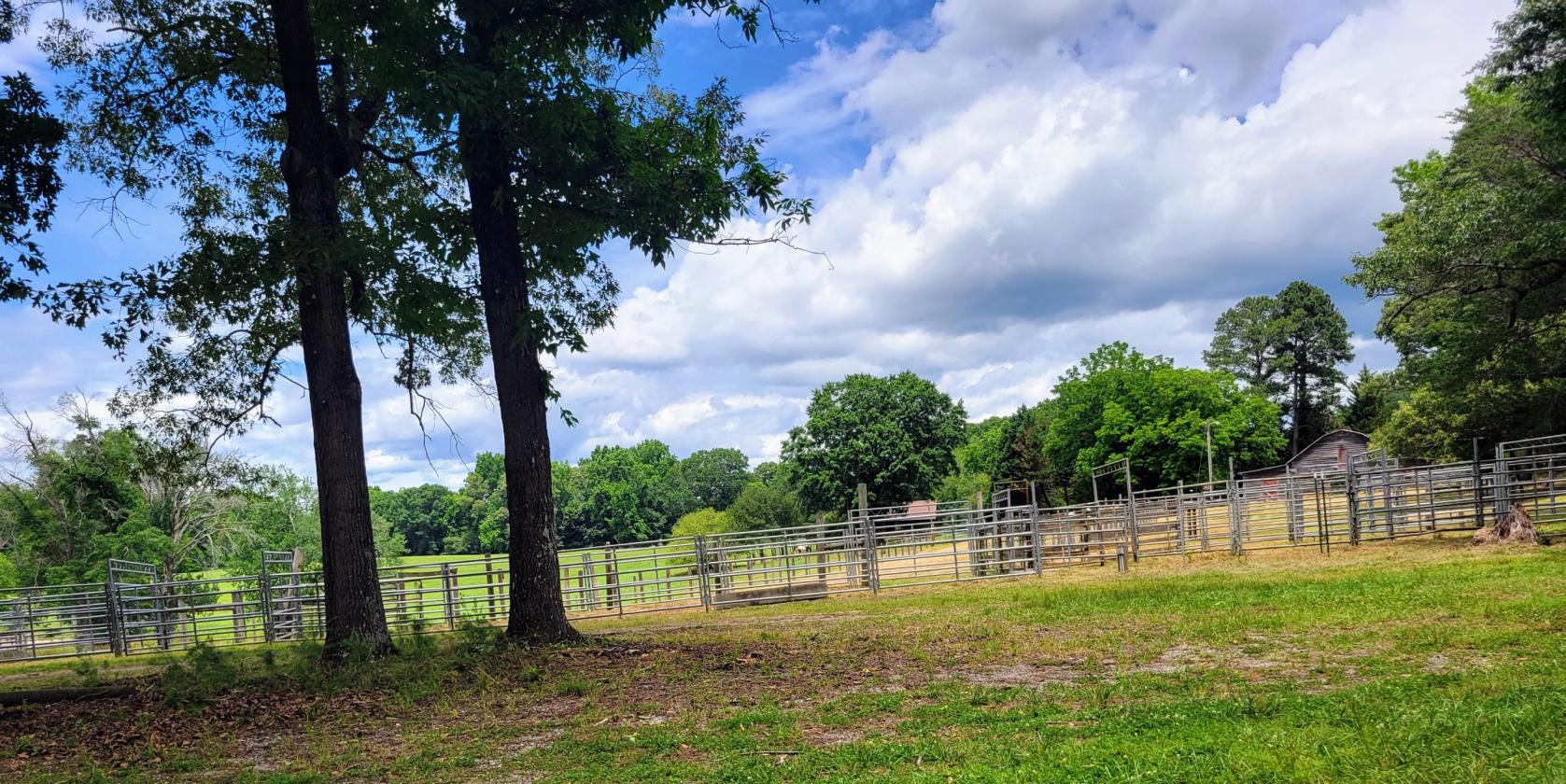 27.5 acre horse/cattle farm with paddocks and pond - photo 5