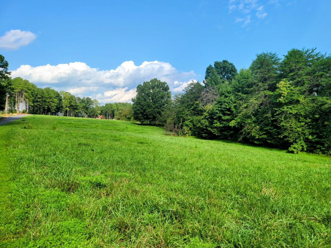 12.49 acres in Equestrian Gated Community! - photo 13