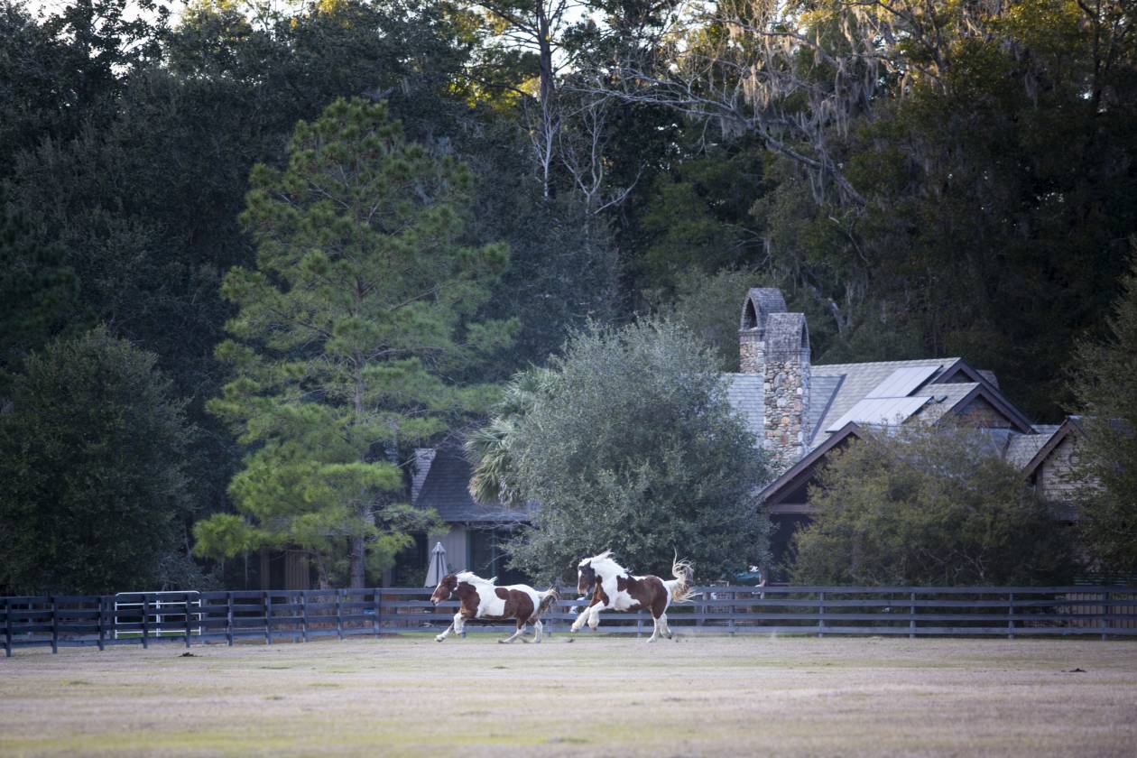 One-of-a-Kind Home in Equestrian Community - photo 29