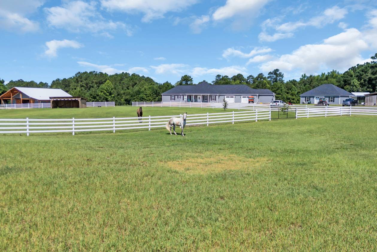 Horse Property for sale.