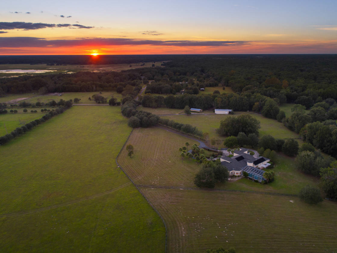 Horse Farm Gainesville, Alachua County, Florida