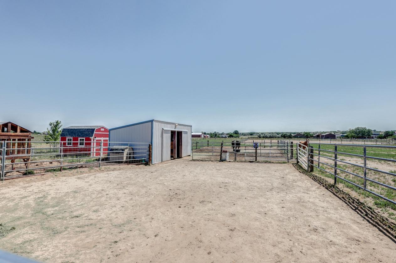 Country in the City! 3.5 Acre Farmhouse - photo 4