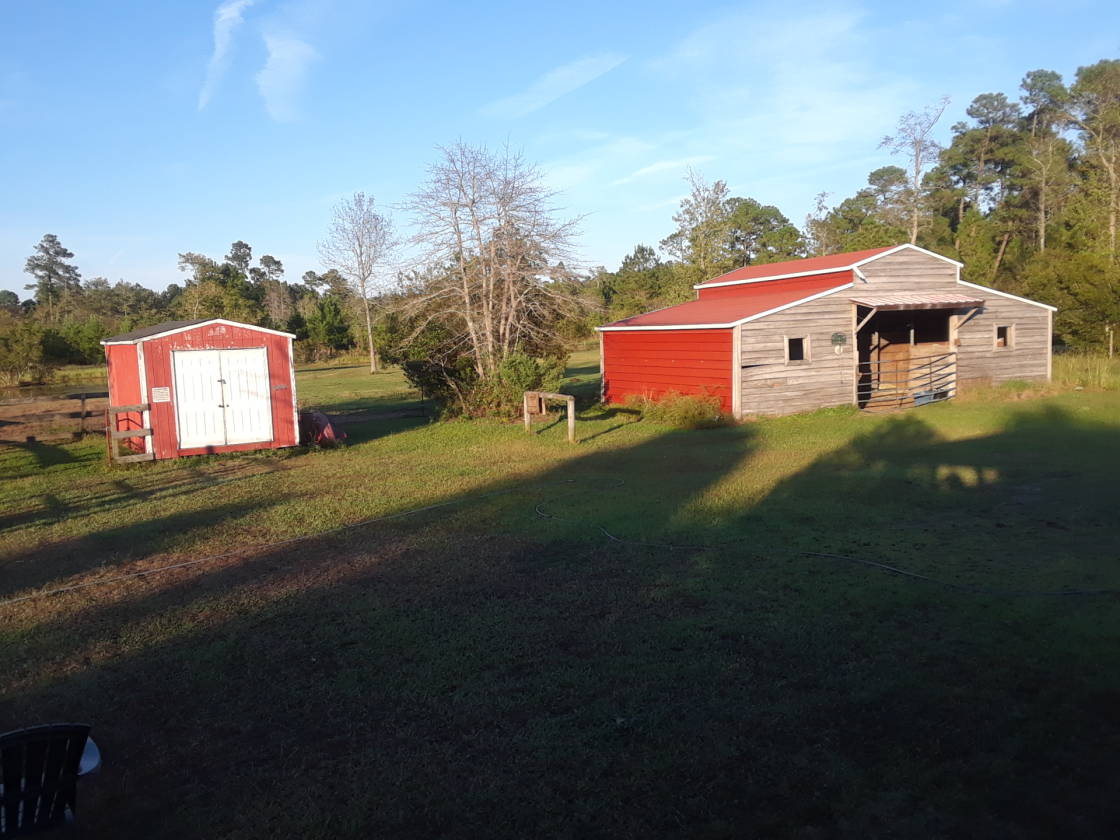 5 acre Mini Farm near Myrtle Beach, SC. Home, barn,... Conway, Horry