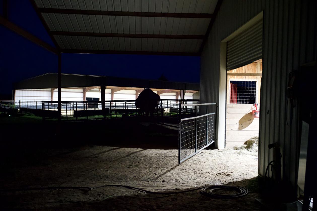 273+/- Acres With 20,000 Square Covered Arena - photo 12