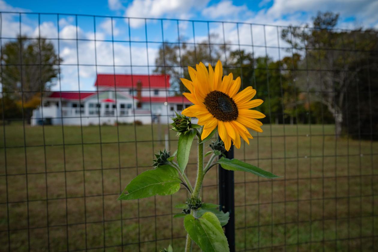 92-Acre Private Estate - Farmhouse & Guest House - photo 19