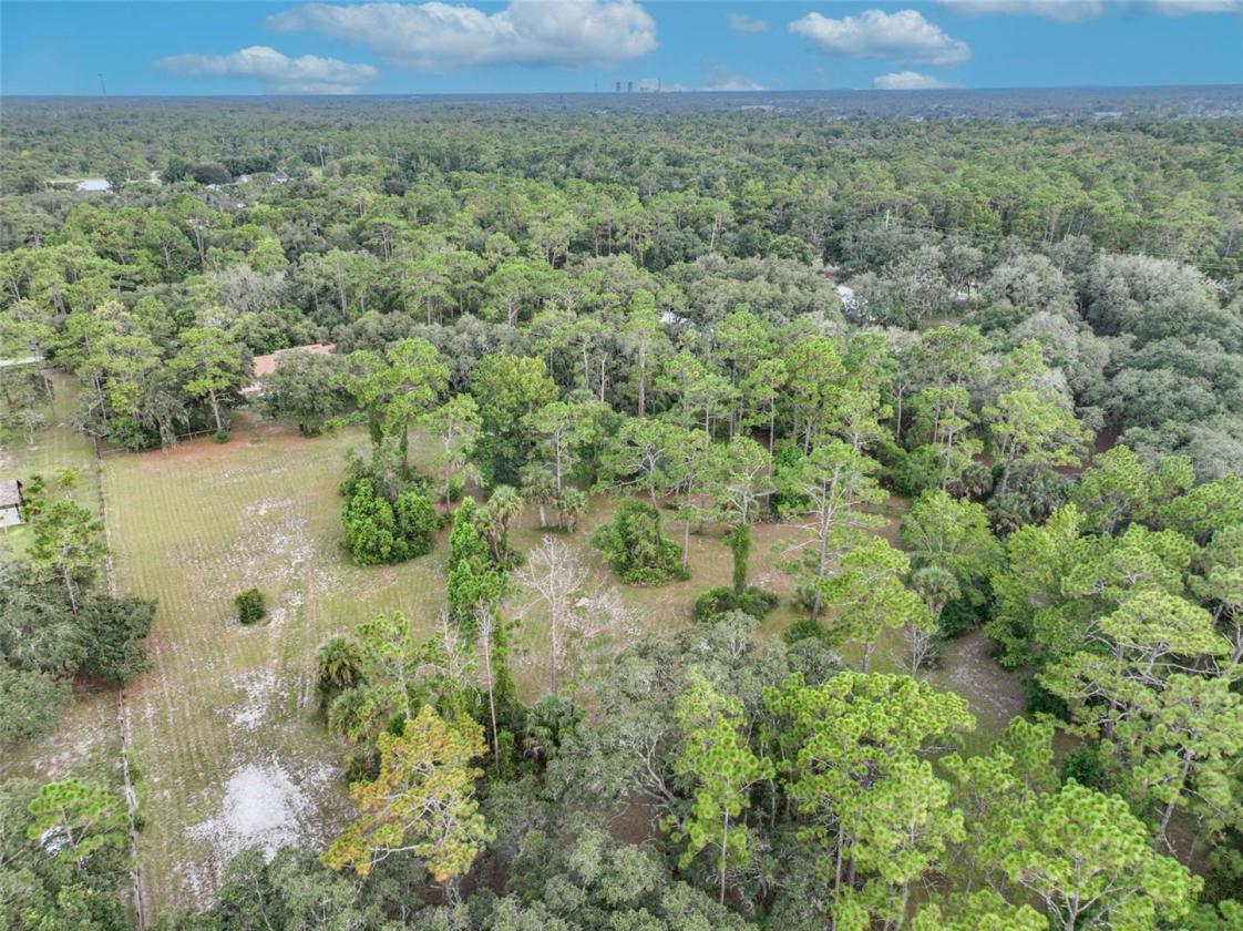 5-Acre Equestrian Retreat with Pool - photo 22