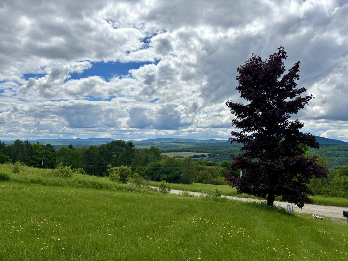 Horse Property with Stunning Views and Log Home - photo 22