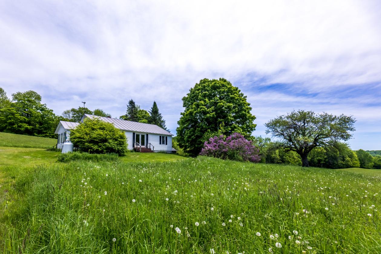 Equestrian Paradise in Picturesque Strafford - photo 2