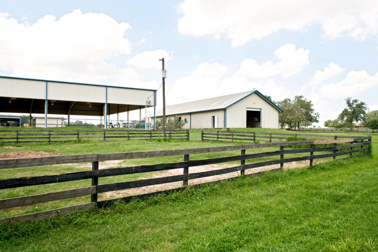 76 Ac. Braun Farm - photo 16
