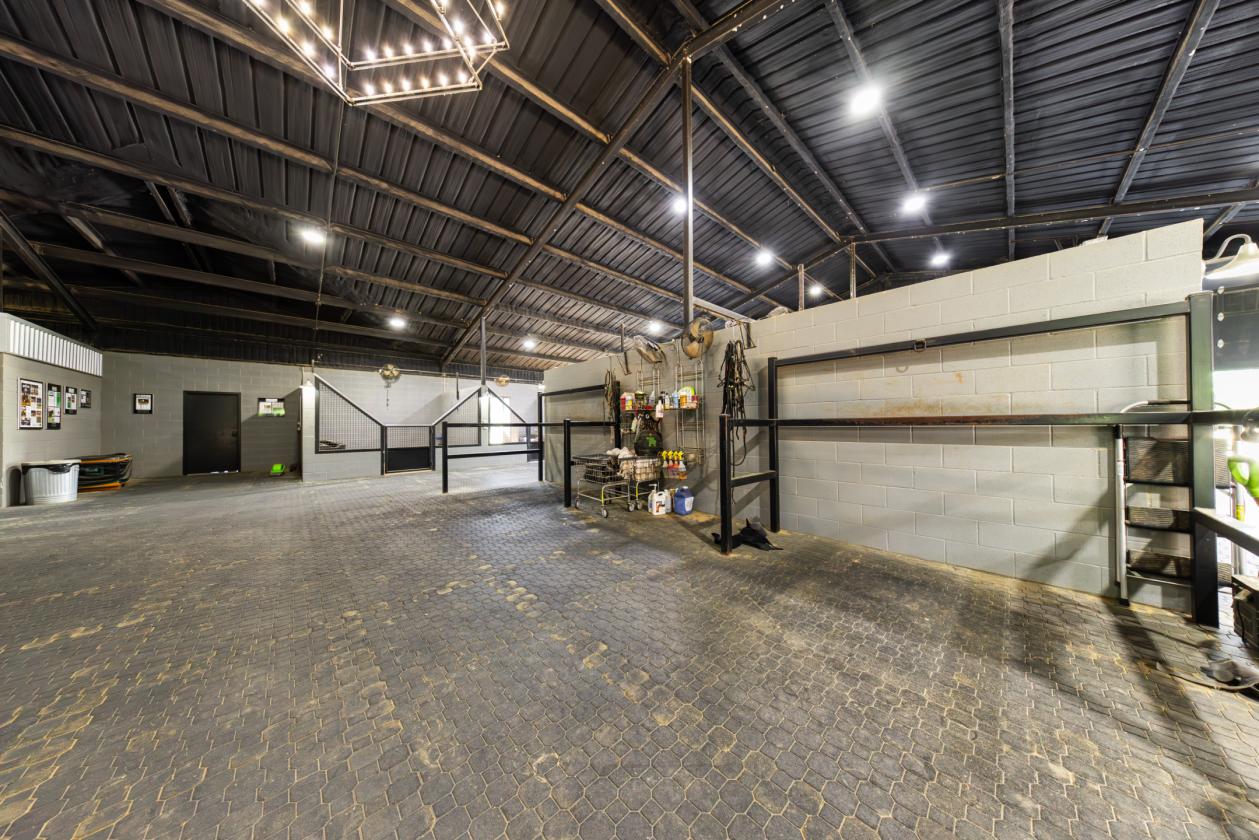 Walnut Creek Horse Ranch - photo 12