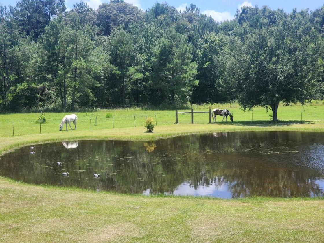 Stunning 22.6-Acre Horse Property - photo 2