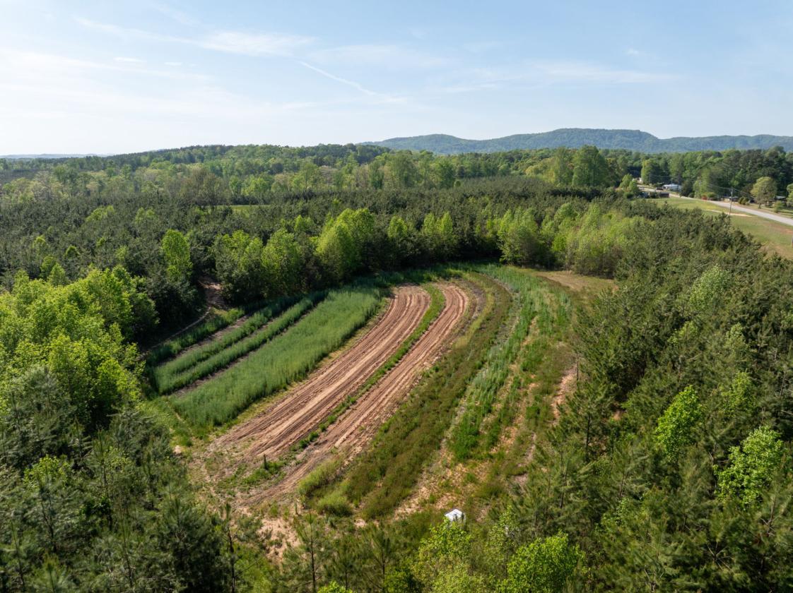169 Acres, pastures, creeks, pond sites and trees - photo 9