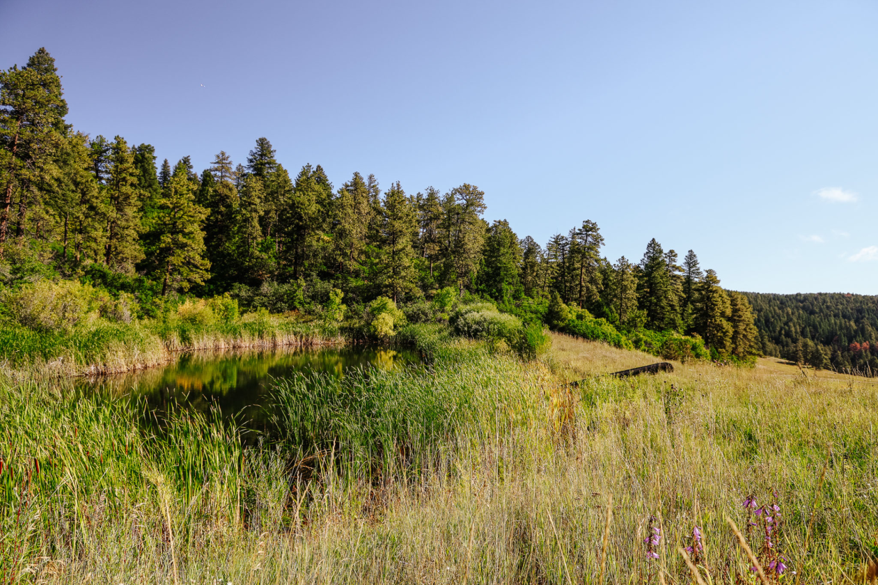 Liberty Ranch - photo 7