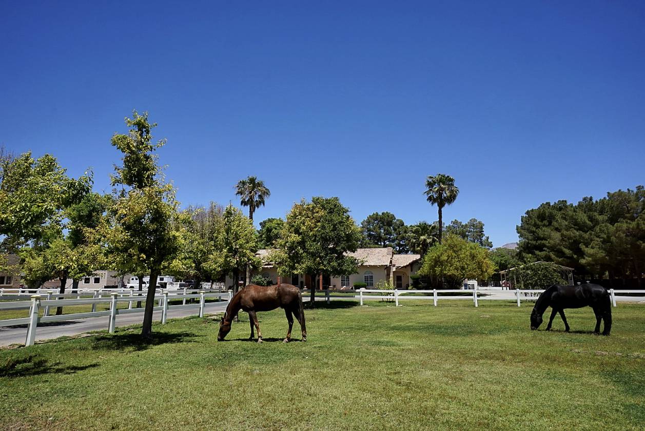 Horse Property for sale.