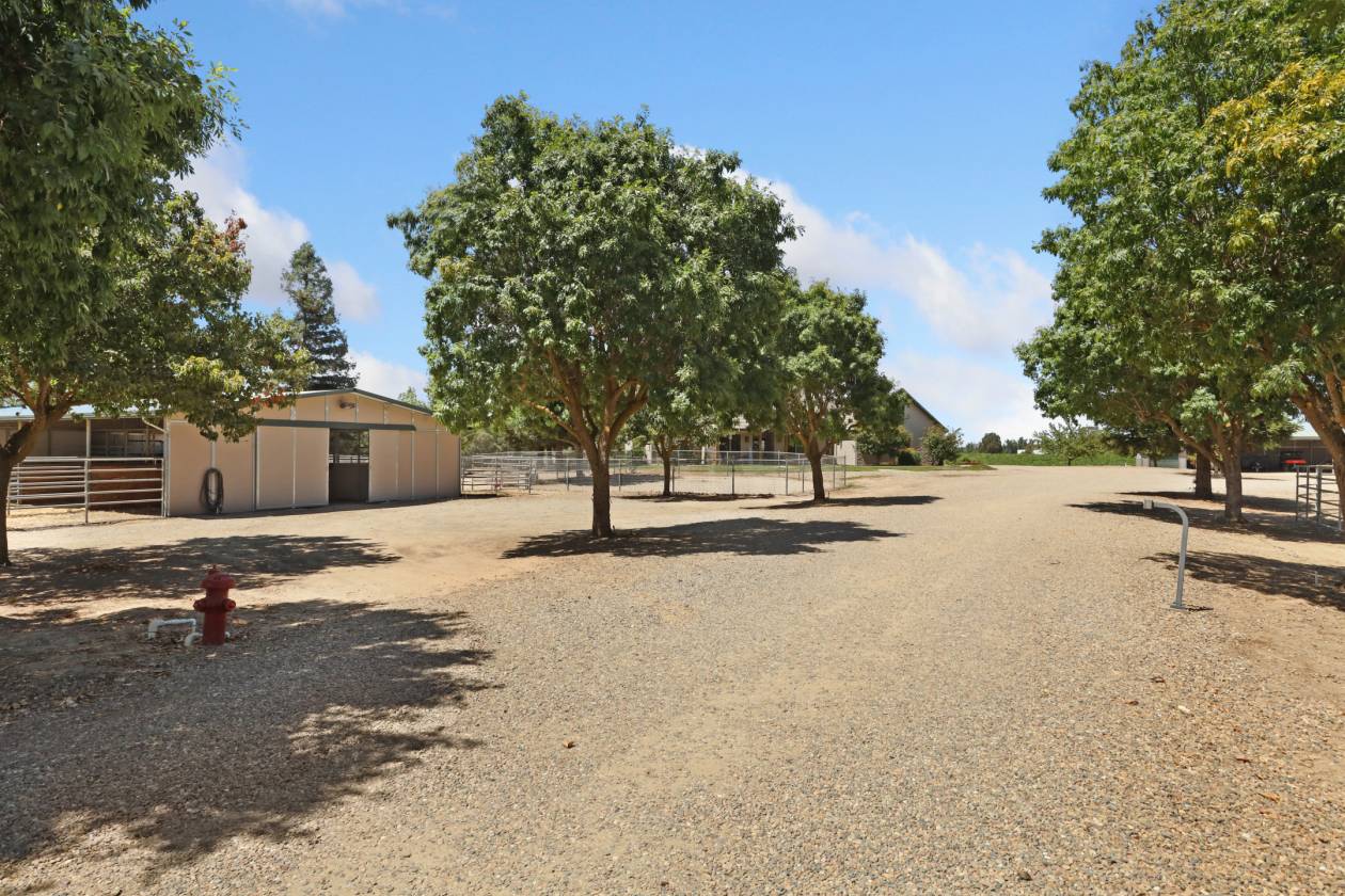 Estate with 7 pastures, 2 homes, lake, Vineyard - photo 4