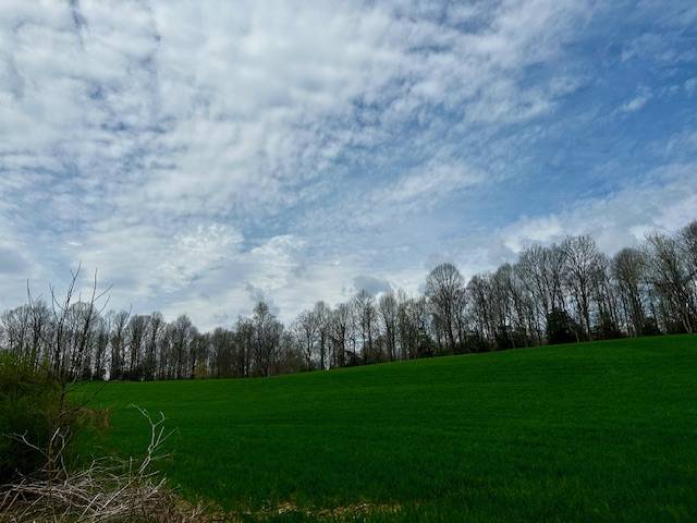 147.49AC Room for Homesteading Farming Development - photo 9