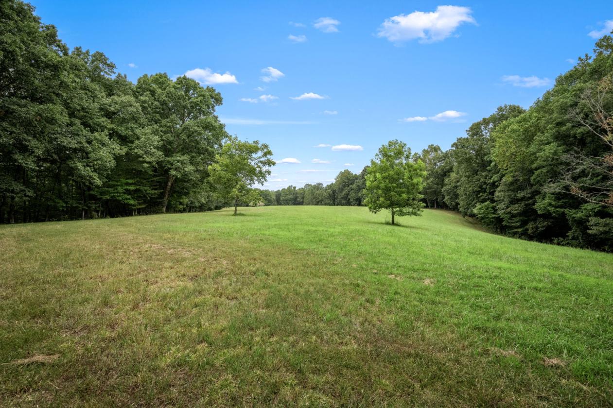 Trail Riding Dreams and privacy galore!! - photo 17