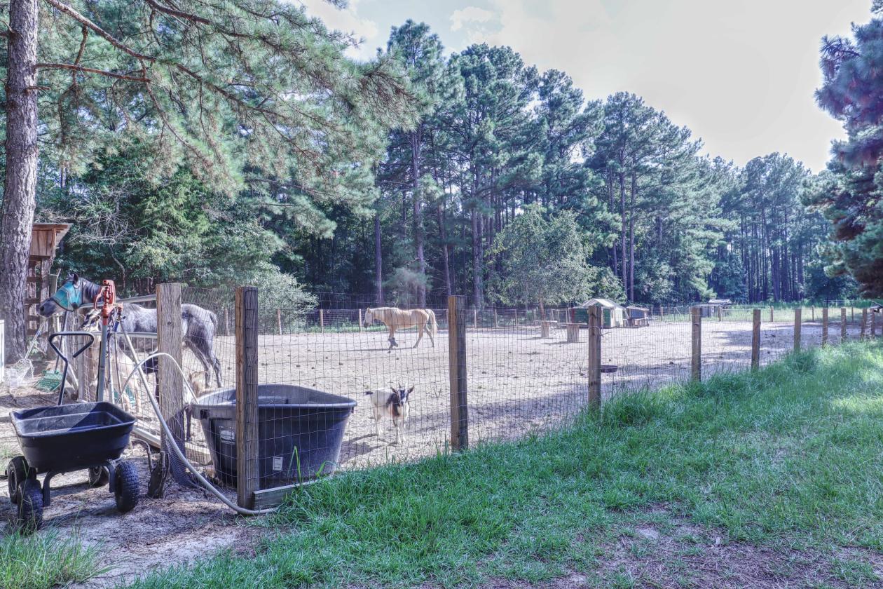 Turnkey Country Retreat on 8 Private Acres - photo 27