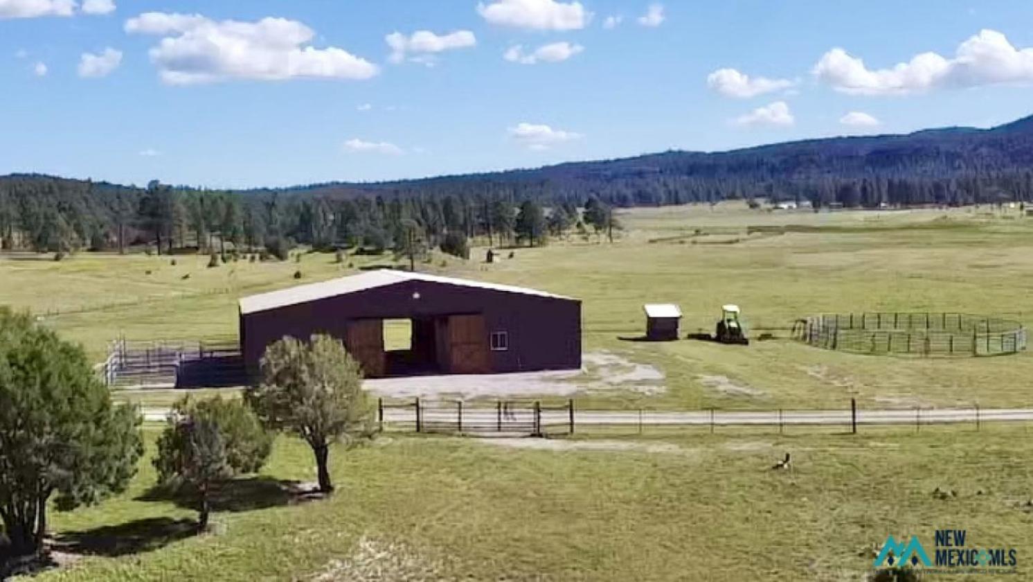 20+ Acre Horse Property w/ Direct Trail Access - photo 19