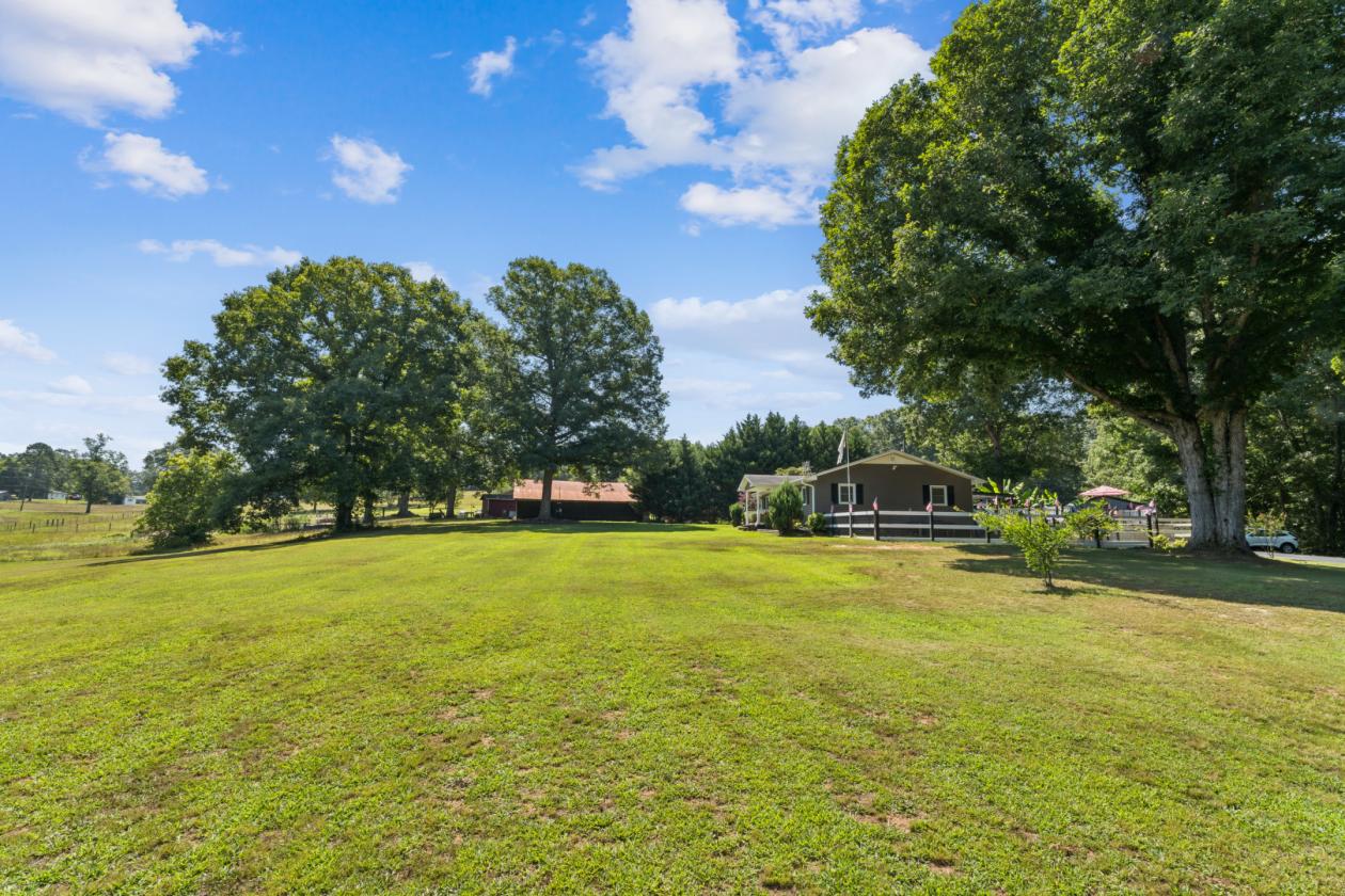 1,000 feet of river frontage!!! - photo 8