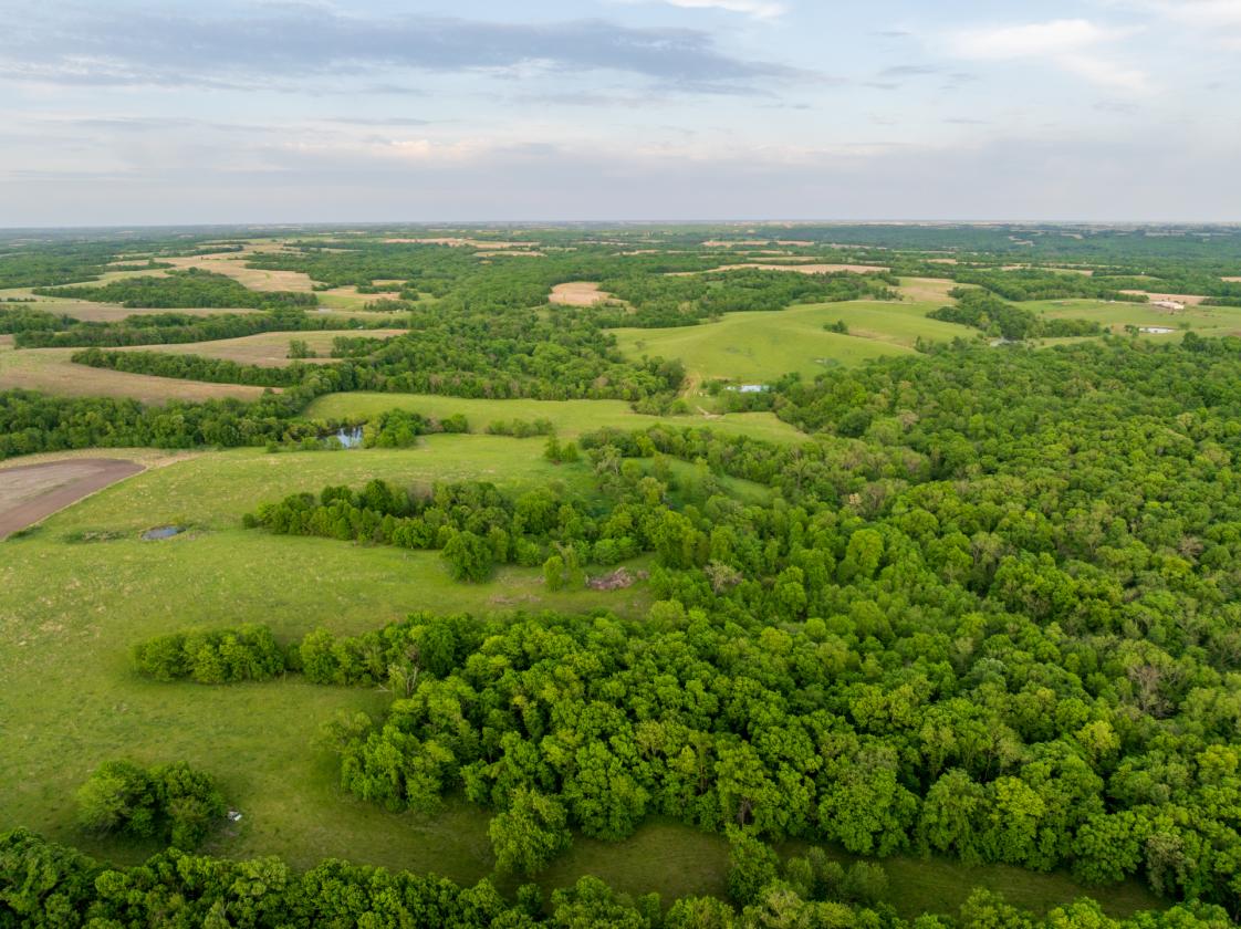 273.5 +/- Acre Turn-Key Cattle and Horse Property - photo 14