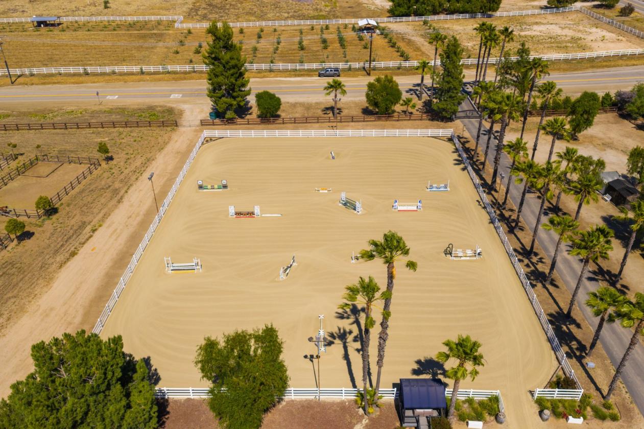 Proven Equestrian Excellence - photo 25