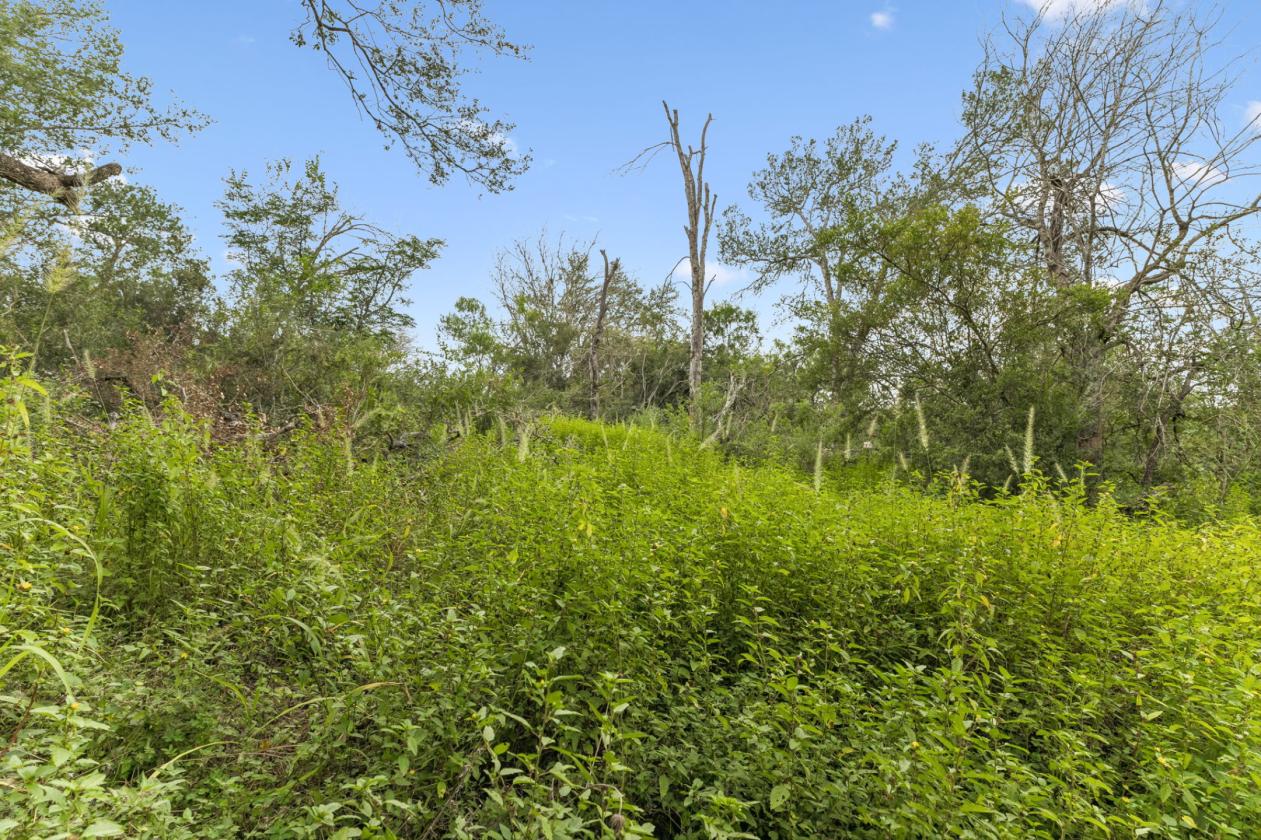 17.43 acres near Saint Hedwig - photo 13