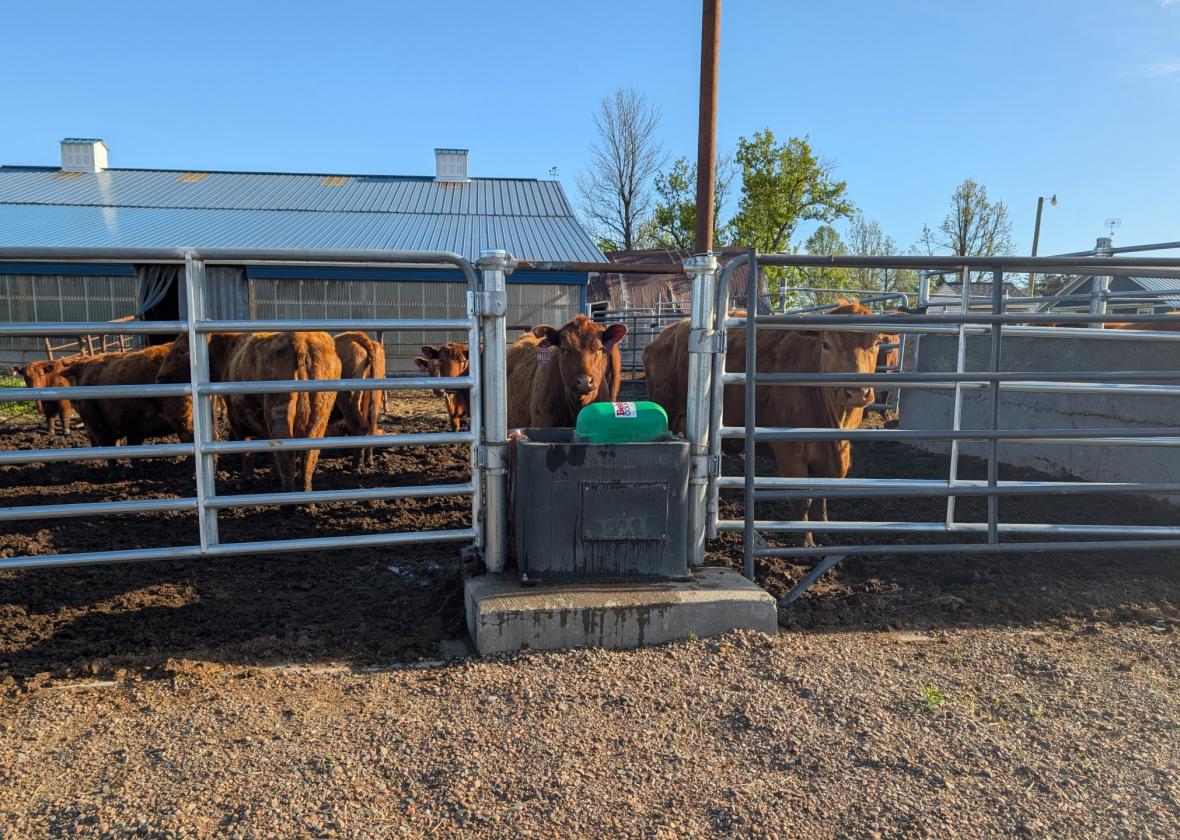 Move-In Ready Hobby Farm with Home - photo 9