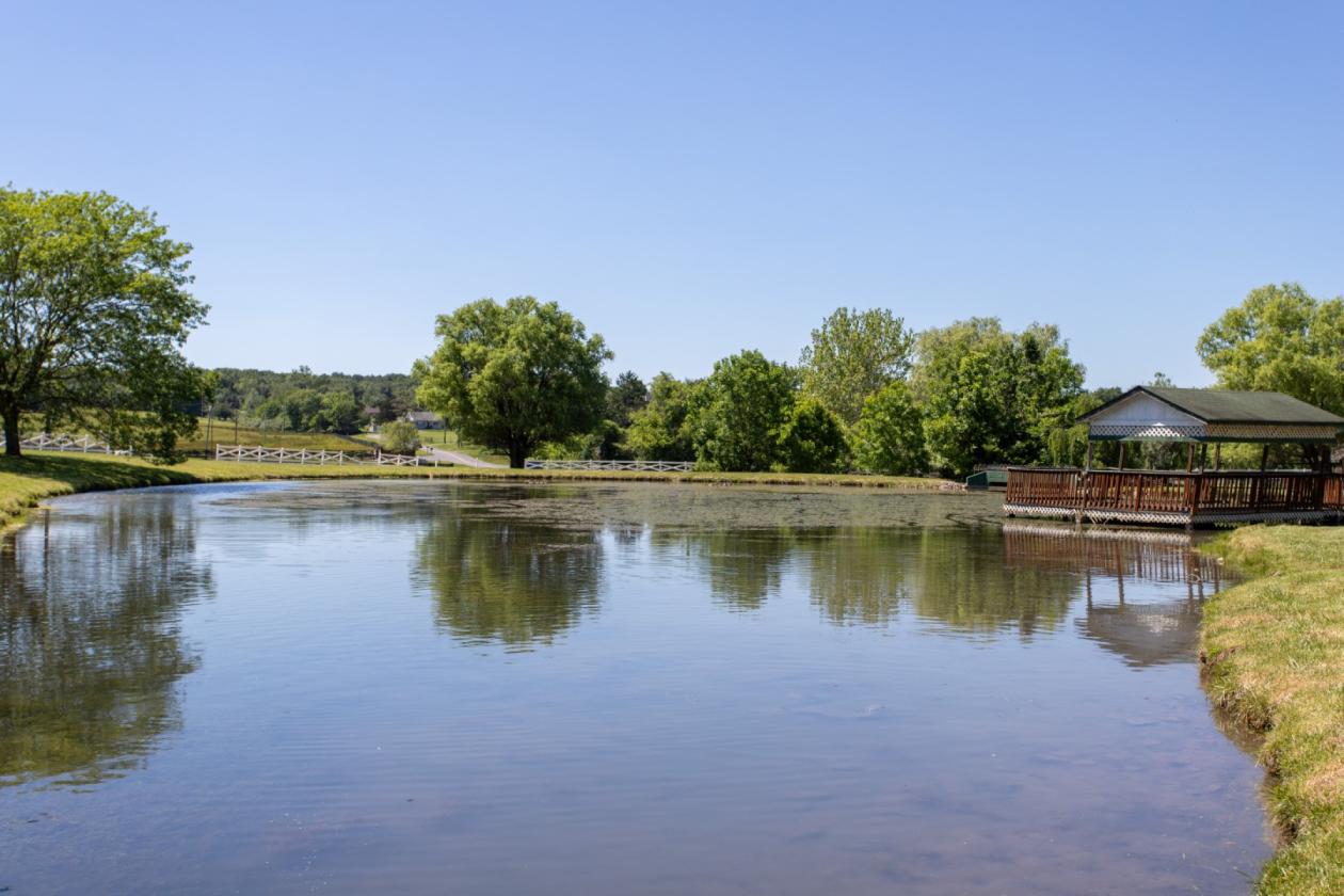 6-Acre Horse Farmette with Pond - photo 3