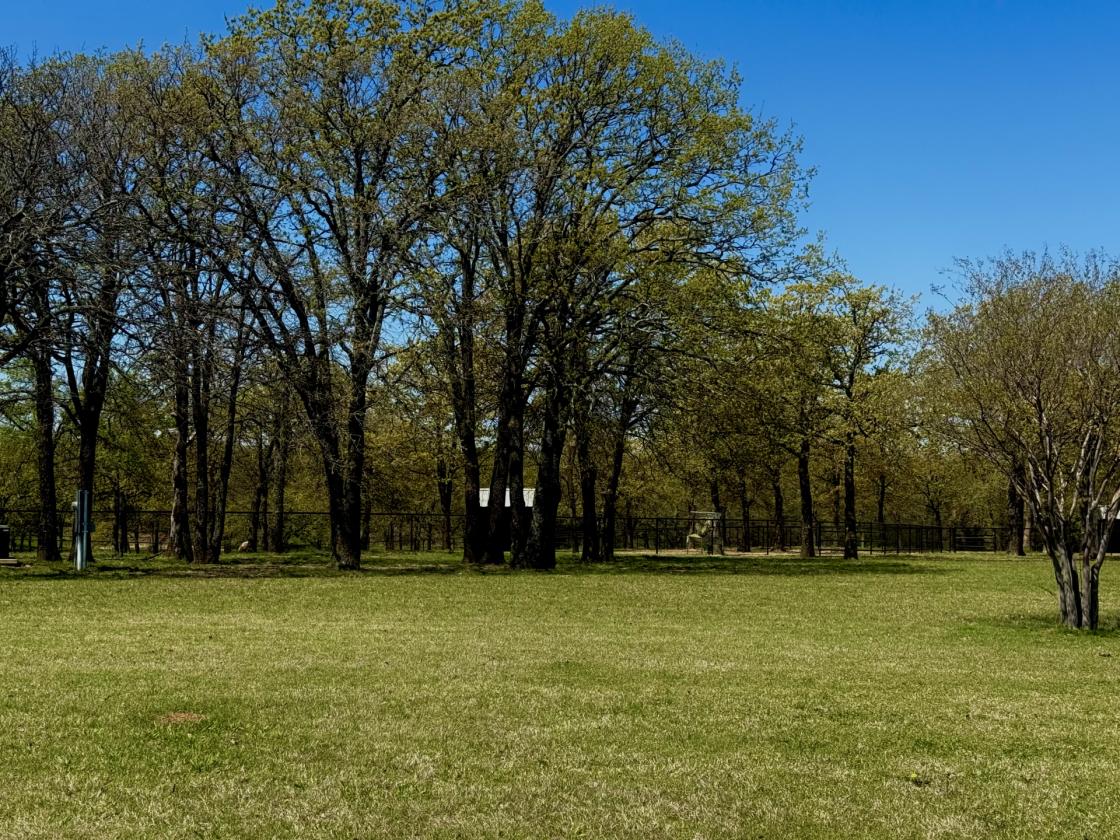 WORLD CLASS EQUESTRIAN ESTATE - photo 11