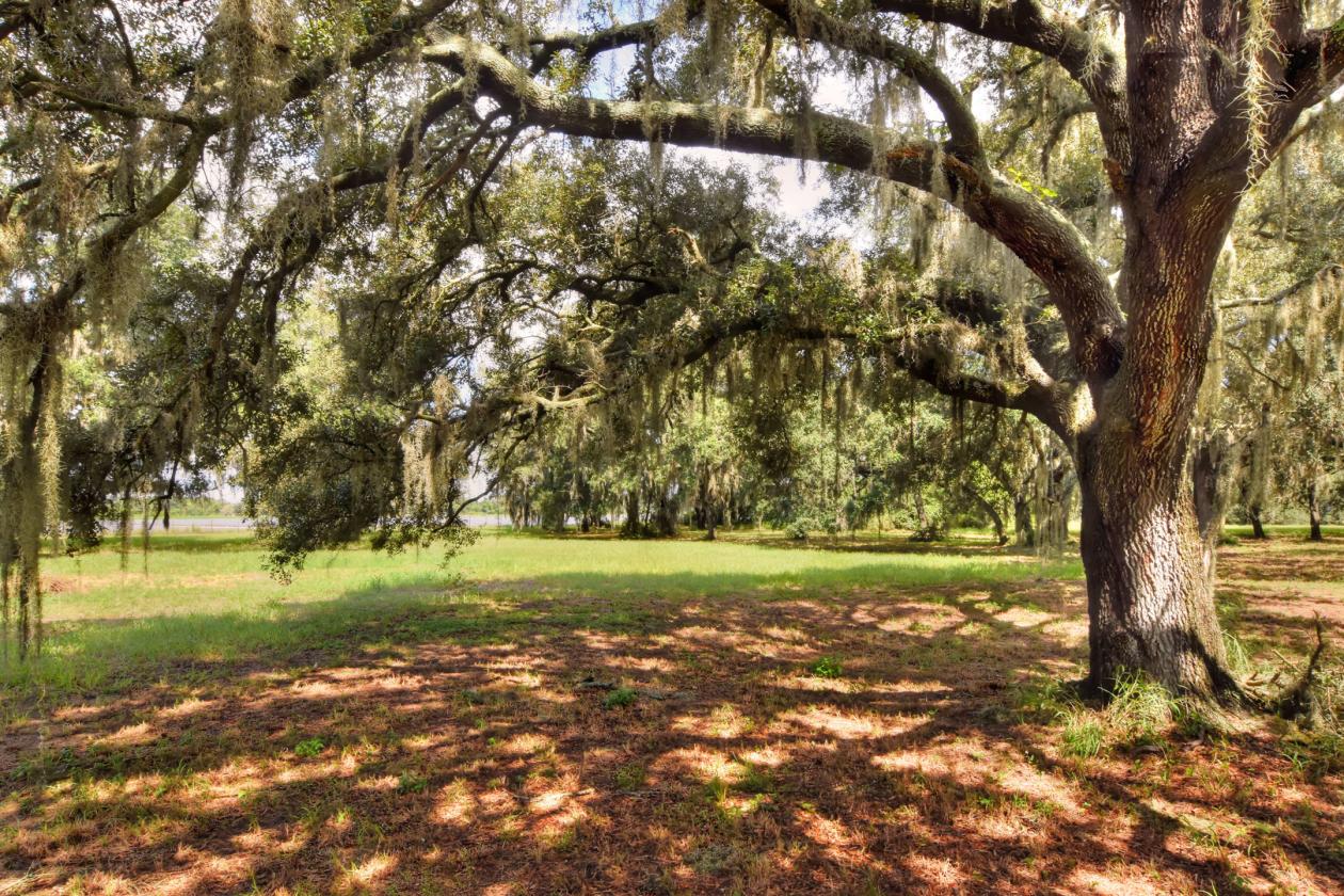 A Truly Private Horse-Lover’s Dream! - photo 10