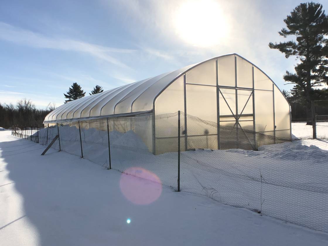 HaywardSpringbrook WI Horse Lovers Dream Priced Right First