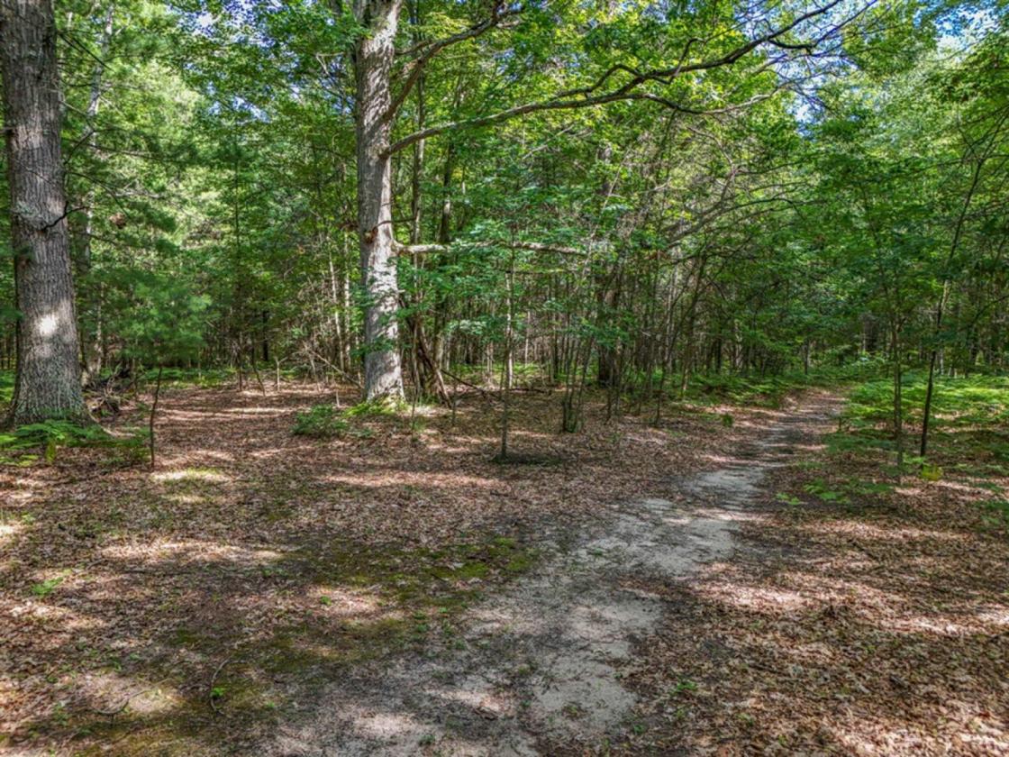 82 acres with 2,800 public land attached! - photo 30