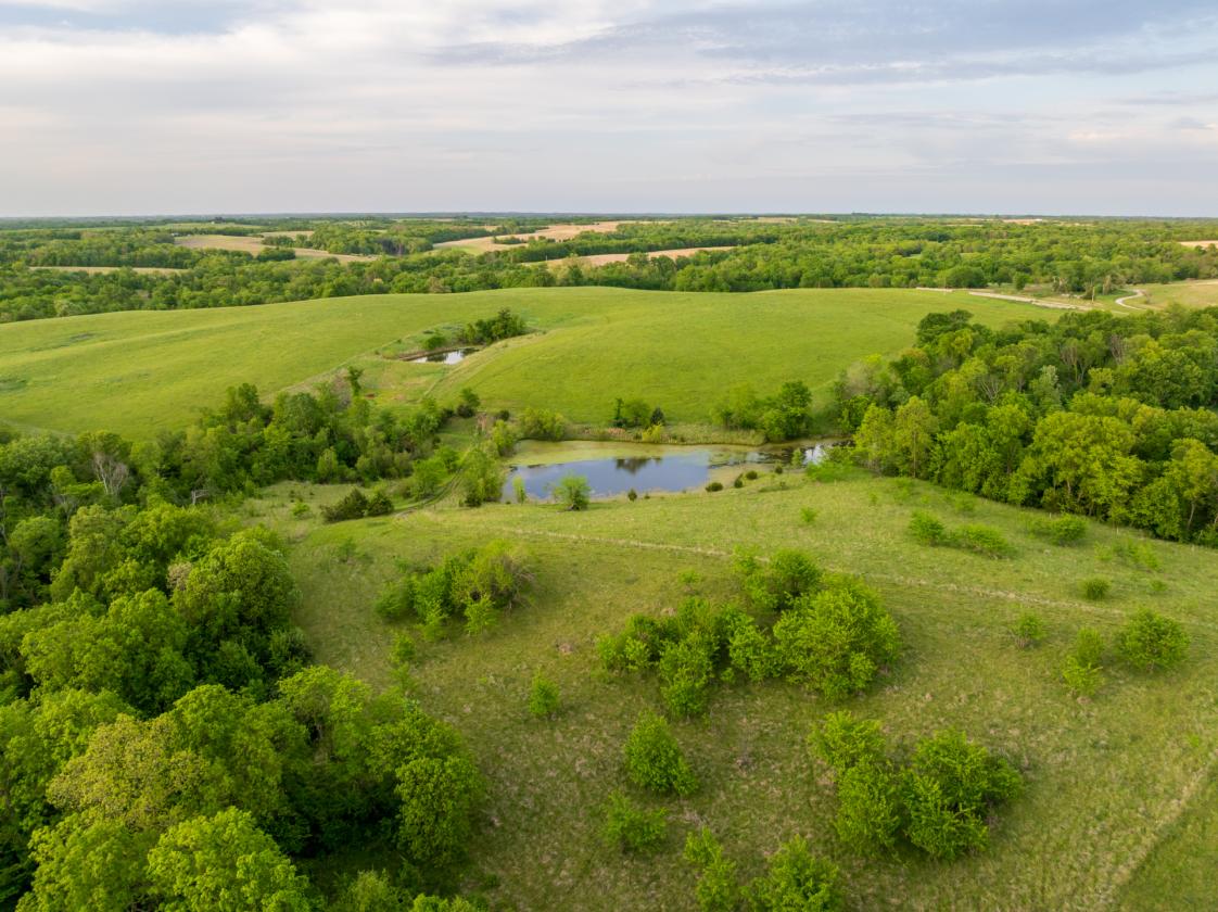 273.5 +/- Acre Turn-Key Cattle and Horse Property - photo 7