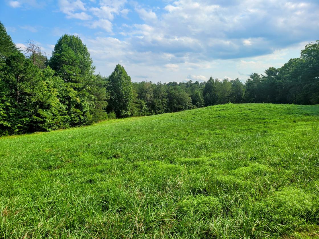 12.49 acres in Equestrian Gated Community! - photo 2