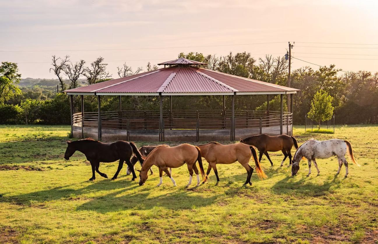 Hill Country Horse Ranch - photo 6