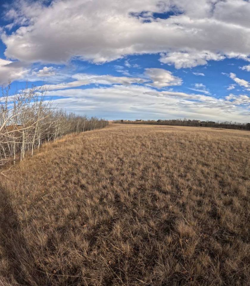 15.268 Acres! Creeks! Trails! Views! Meadows! - photo 8