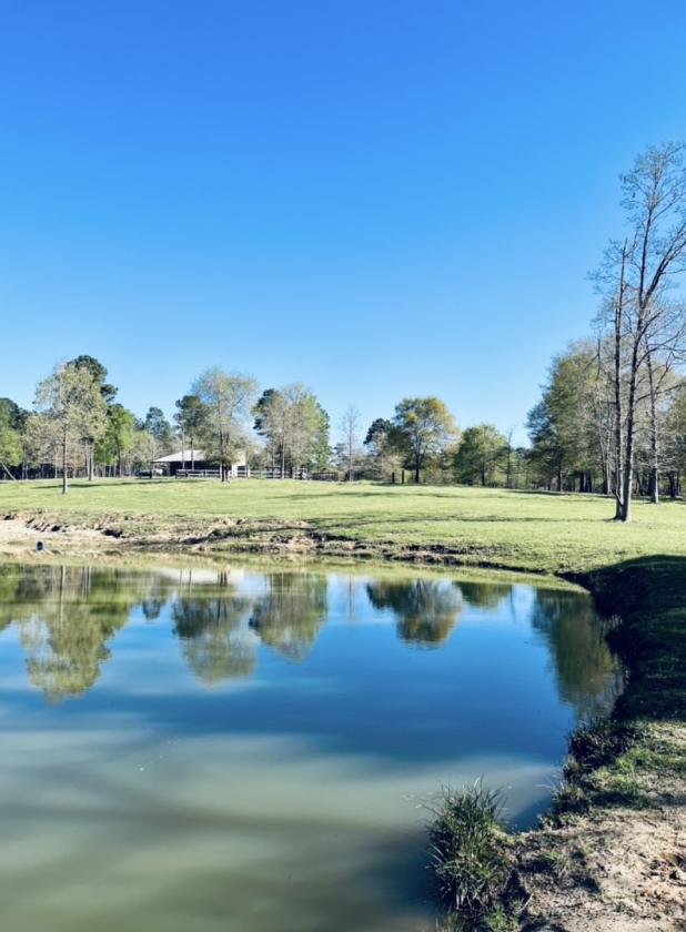 Beautiful East Texas horse property - photo 24